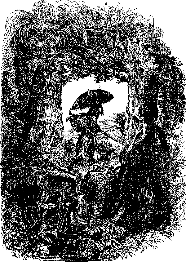 Приключения Робинзона Крузо - i_038.png