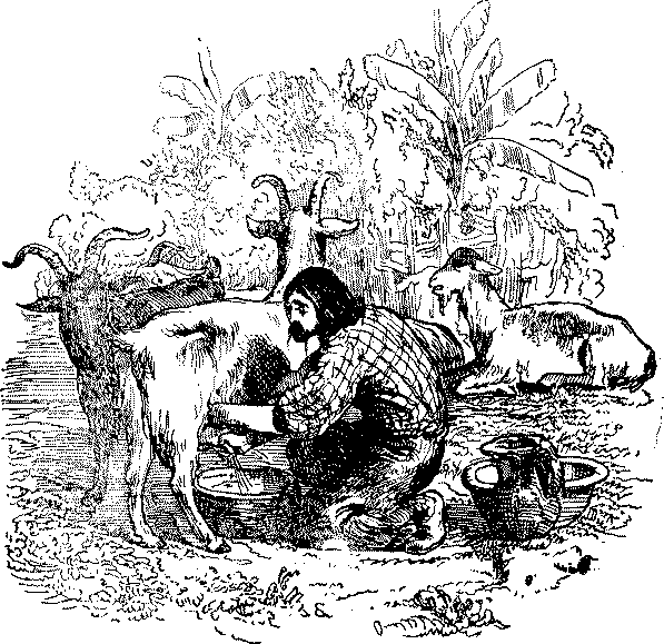 Приключения Робинзона Крузо - i_044.png