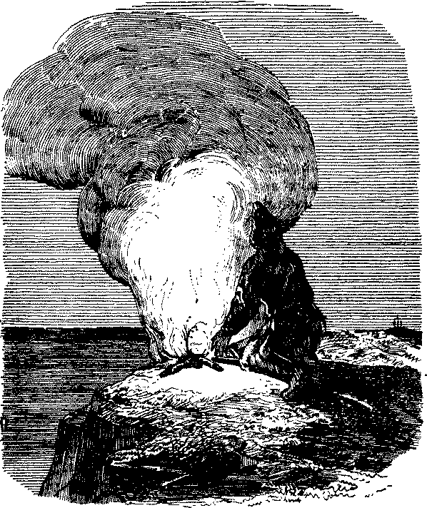 Приключения Робинзона Крузо - i_047.png