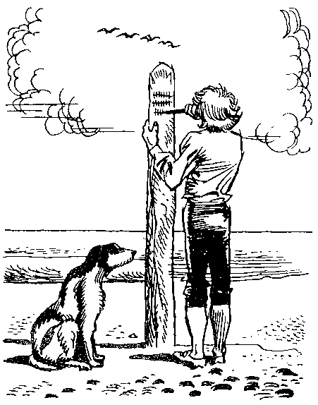 Приключения Робинзона Крузо (илл.) - i_021.png