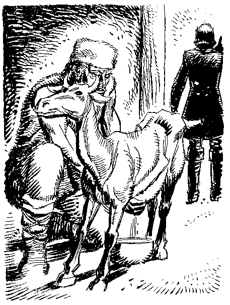 Приключения Робинзона Крузо (илл.) - i_101.png