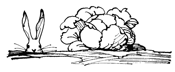 Сказки - Ks_19pr.png