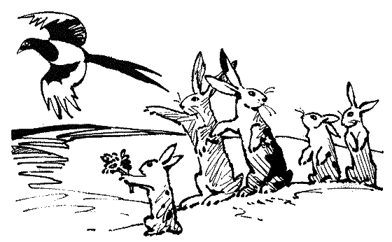 Сказки - Ks_21pr.png