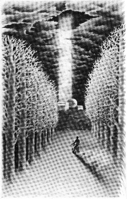 Безжалостное небо(сб.) - i_006.jpg