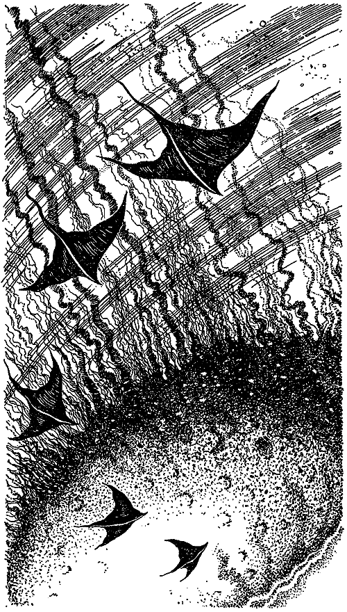 Искатель. 1976. Выпуск №1 - i_012.png