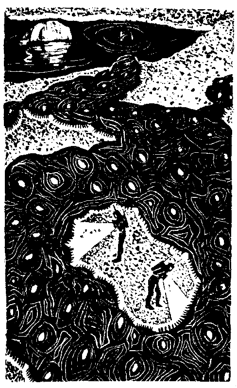 Лунная пыль. Рассказы - pic_23.png