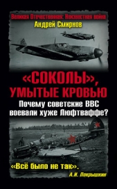 «Соколы», умытые кровью. Почему советские ВВС воевали хуже Люфтваффе? - автор Смирнов Андрей 