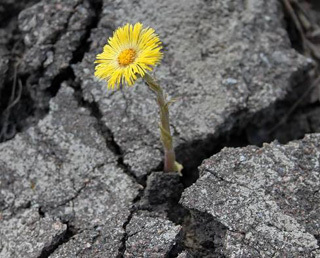 Поцелуй ведьмы. Часть 2 (СИ) - _136.jpg