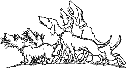 Ваш покорный слуга пёс Бутс - auto_fb_img_loader_29.png