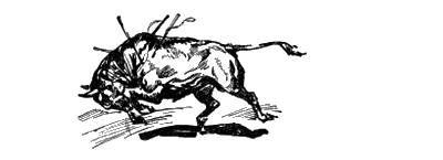 Всемирный следопыт, 1928 № 10 - i_031.png