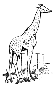 Всемирный следопыт, 1928 № 10 - i_048.png