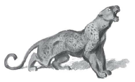 Избранные стихи из всех книг - _42.jpg