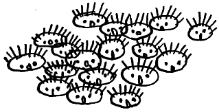 Как было написано первое письмо - i_009.png