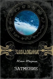 Затмение - автор Тирнан Кейт 