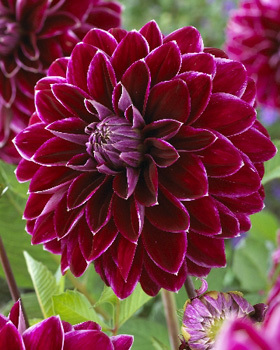 Океаны нежности - _13.jpg