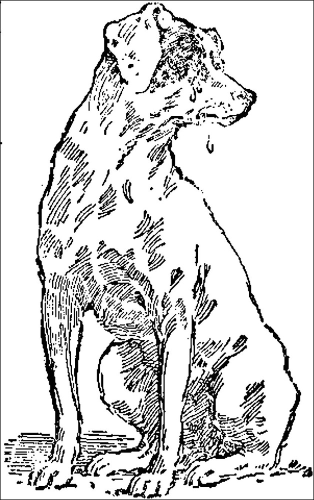 Лучшие произведения Джерома К. Джерома / The Best of Jerome K. Jerome - _015.jpg_0.jpeg