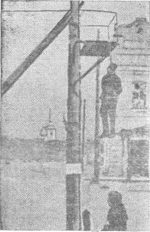 Розы на снегу - img_35.jpeg