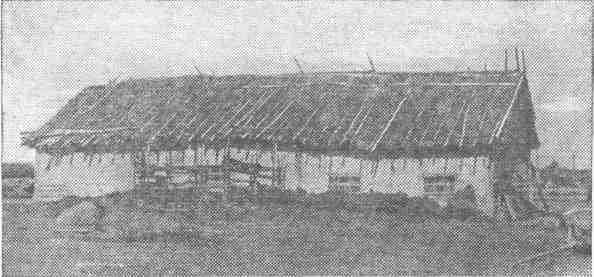 Розы на снегу - img_36.jpeg