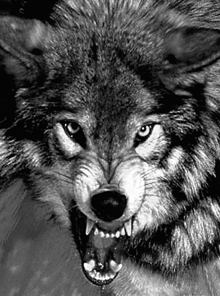 Джига со смертью - i_001.jpg