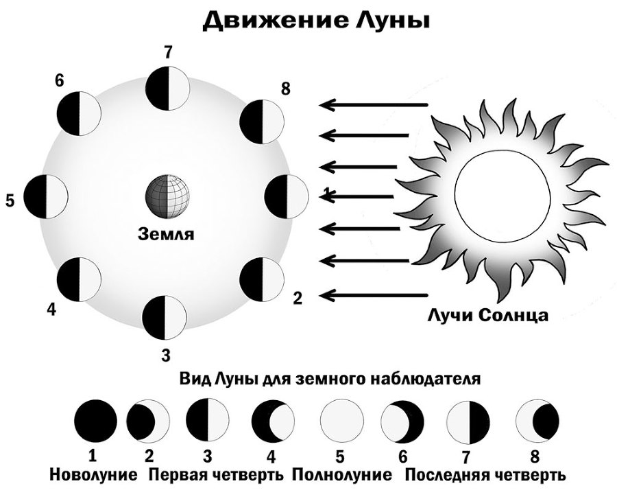 Астрономия на пальцах. Для детей и родителей, которые хотят объяснять детям - i_006.jpg