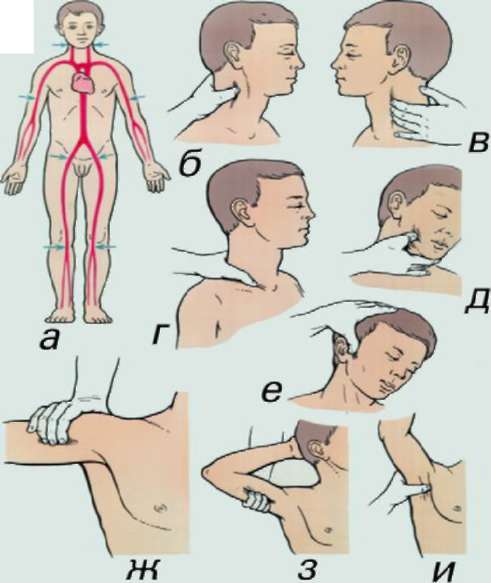 Методичка по оказанию первой помощи - Any2FbImgLoader18