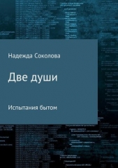 Две души. Испытания бытом - автор Соколова Надежда Игоревна 