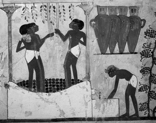 300 рецептов ухода за кожей. Маски.Пилинг. Лифтинг. Против морщин и угрей. Против целлюлита и рубцов - _26.jpg