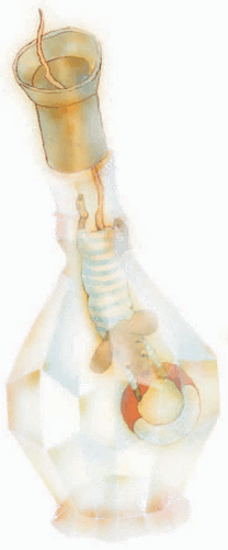 Аня в Стране чудес - i_010.png