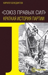 Союз Правых Сил. Краткая история партии - автор Бенедиктов Кирилл Станиславович 