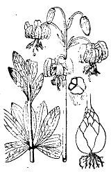 Школа выживания. Как избежать голодной смерти - i_030.jpg