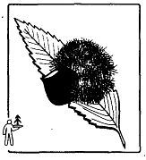 Школа выживания. Как избежать голодной смерти - i_040.jpg