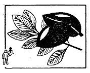 Школа выживания. Как избежать голодной смерти - i_045.jpg