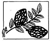 Школа выживания. Как избежать голодной смерти - i_046.jpg