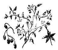 Школа выживания. Как избежать голодной смерти - i_098.jpg