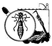 Школа выживания. Как избежать голодной смерти - i_132.jpg