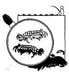 Школа выживания. Как избежать голодной смерти - i_135.jpg