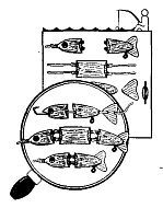 Школа выживания. Как избежать голодной смерти - i_143.jpg