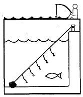 Школа выживания. Как избежать голодной смерти - i_150.jpg