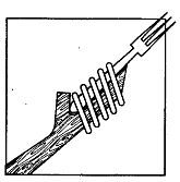 Школа выживания. Как избежать голодной смерти - i_161.jpg
