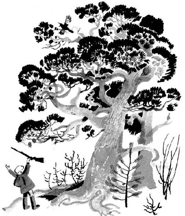 Конь с розовой гривой - i_004.jpg