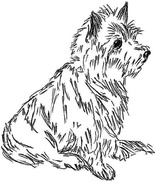 Мой кот и пес. «Они живут как Сара Бернар, а я сама – как собака» - i_005.jpg