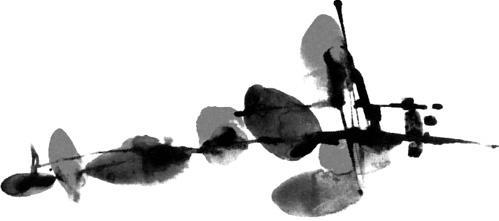 Оранжевая книга. Введение в медитации Ошо - _01.jpg