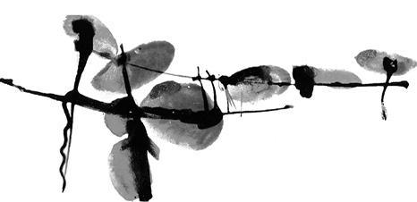 Оранжевая книга. Введение в медитации Ошо - _03.jpg