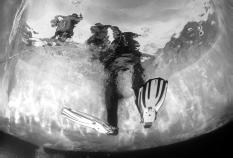 По Байкалу - i_054.jpg