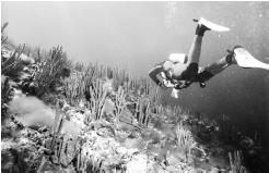 По Байкалу - i_055.jpg