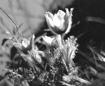 По Байкалу - i_094.jpg