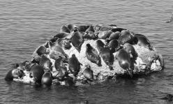 По Байкалу - i_095.jpg