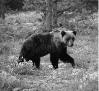 По Байкалу - i_097.jpg