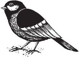 Лимоны и синицы - _07.jpg