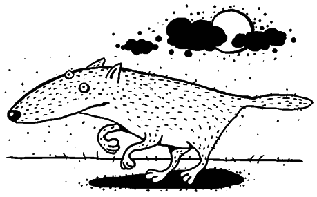 Осенний полет таксы - i_026.png